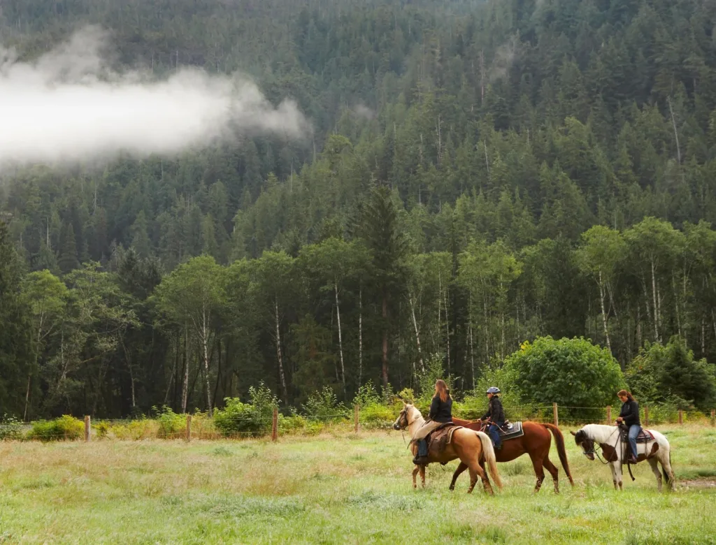 Hire a U-Haul Drivers for Long Distance Moving to Wyoming